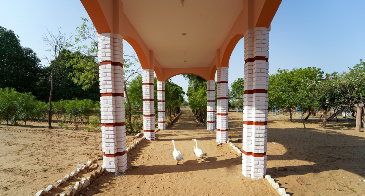 Landscape views