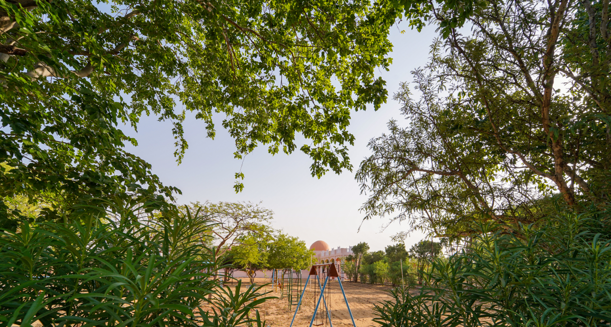 Landscape views